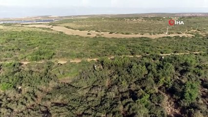 Kaçak avlanan 4 kişi drone destekli denetimde yakalandı
