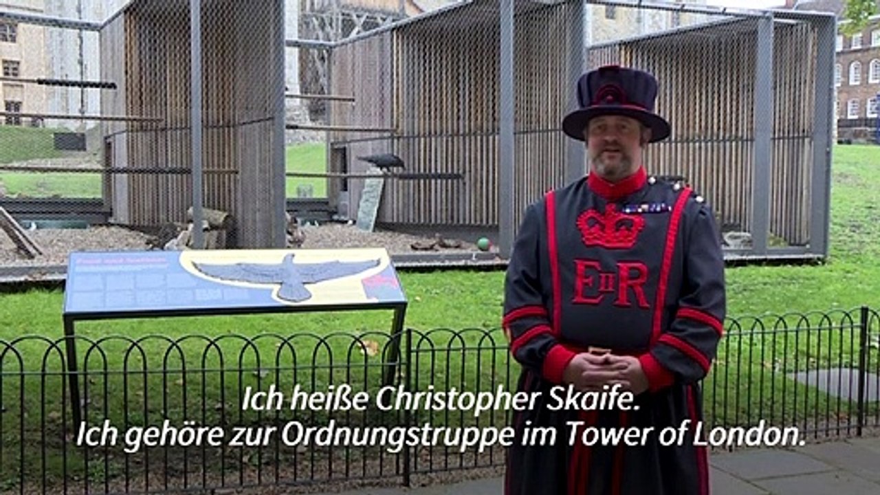 Zu Besuch beim Hüter der Raben im Londoner Tower