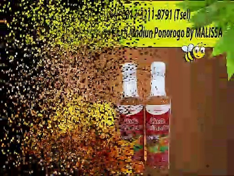 GROSIR !! WA : 0813-3211-8791 (Tsel)	Pusat Sarang Madu Mellifera Di Madiun Ponorogo By MALISSA,