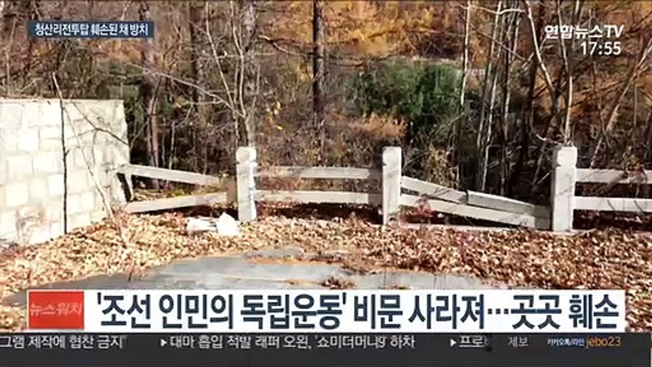 '조선인민의 독립운동' 비문 사라진 청산리전투 中기념탑
