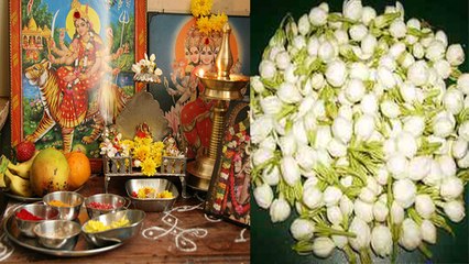 Navratri के दिनो में घर पर लगाएं ये पौधे, बरसेगी माता की कृपा | Boldsky