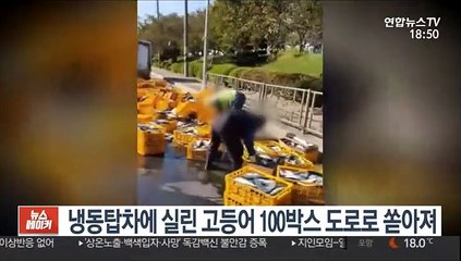 냉동탑차에 실린 고등어 100박스 도로로 쏟아져