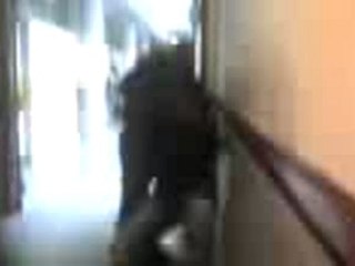 BaStOn Ds Les COulOiir