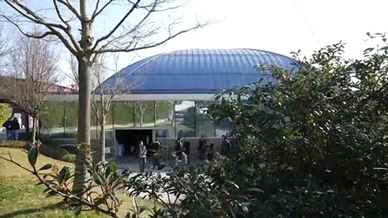 Evolution Day Nexyiu San Patrignano Febbraio 2020