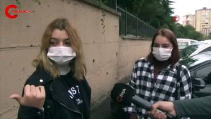 İstanbul'da görüntülenen 'mavi kediler' şaşkına çevirdi