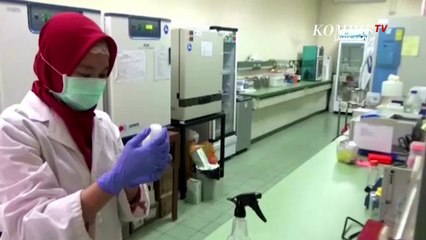 Vaksin Covid-19 Buatan Unair Masuk Tahap Praklinis