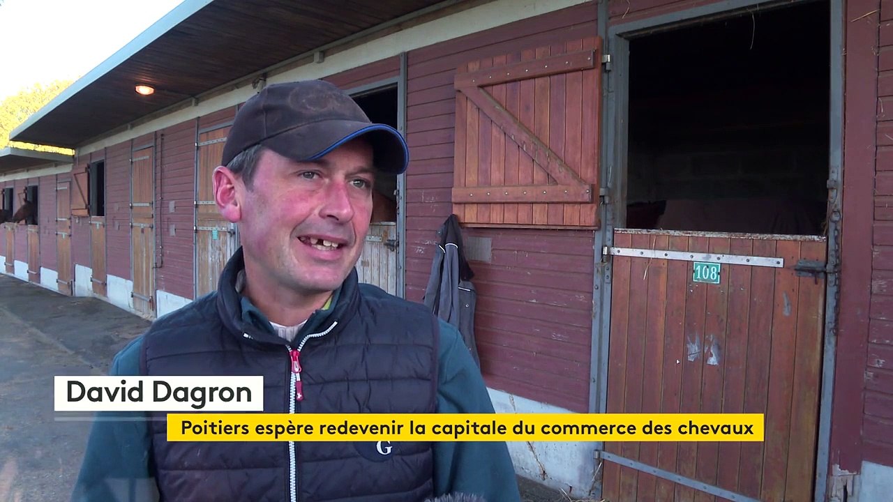 Des enchères équines à Poitiers, ancienne capitale du commerce des chevaux