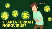 [INFO GRAFIS] 7 Fakta Terkait Norovirus?