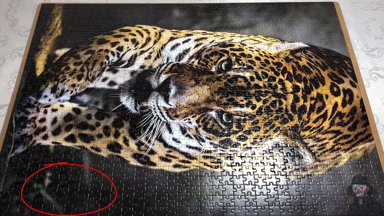 EKSİK PUZZLE PARÇASI NASIL YAPILIR?