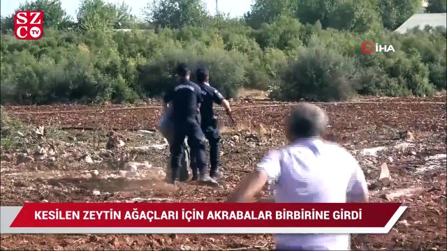 Kesilen zeytin ağaçları için birbirine giren akrabalara jandarma müdahale etti