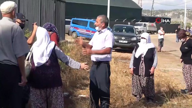 Kesilen zeytin ağaçları için birbirine giren akrabalara jandarma müdahale etti