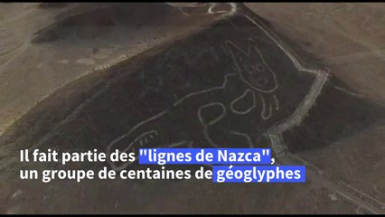 Pérou: une silhouette de chat, vieille de 2.000 ans, découverte dans le désert