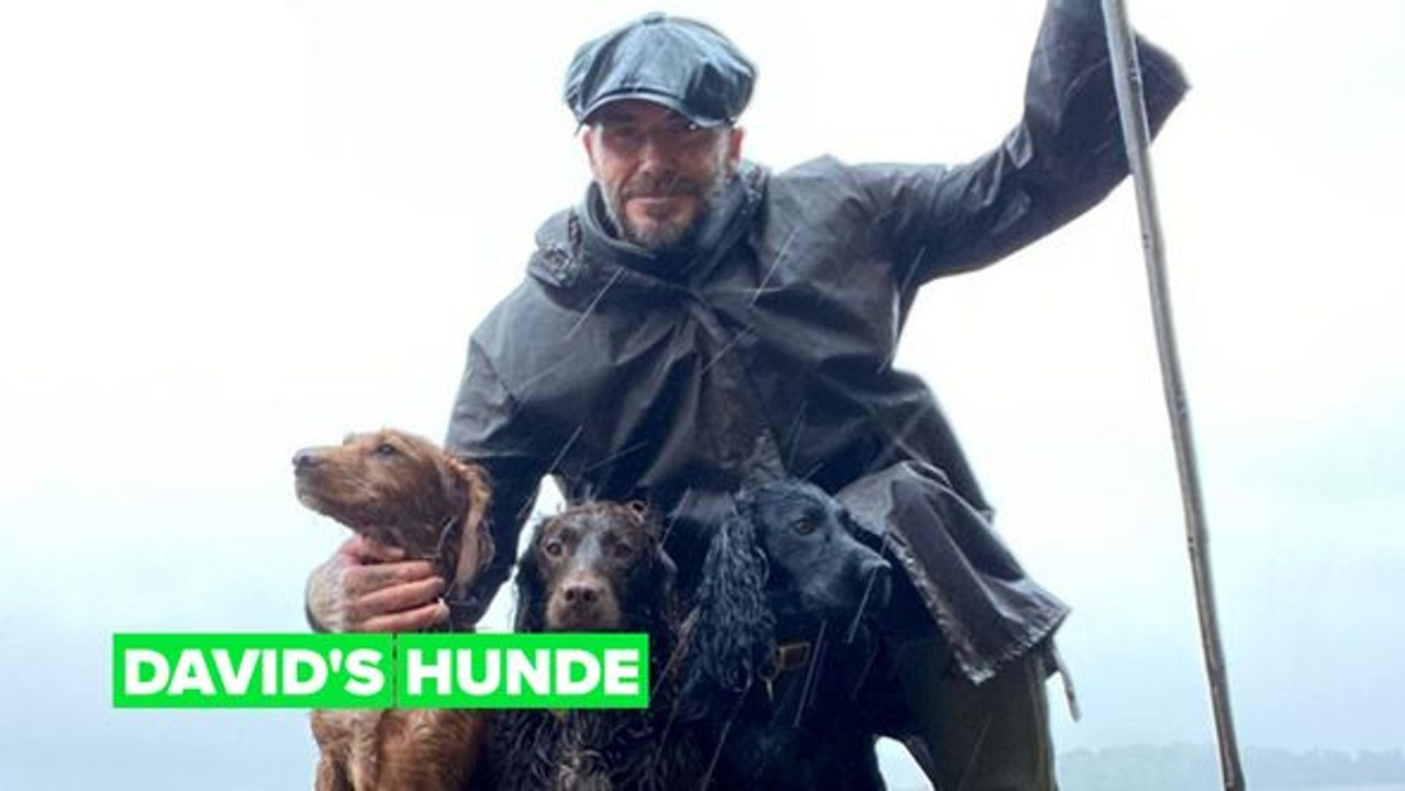 Sorry Victoria, David Beckhams 3 andere Lieben seines Lebens sind bezaubernd