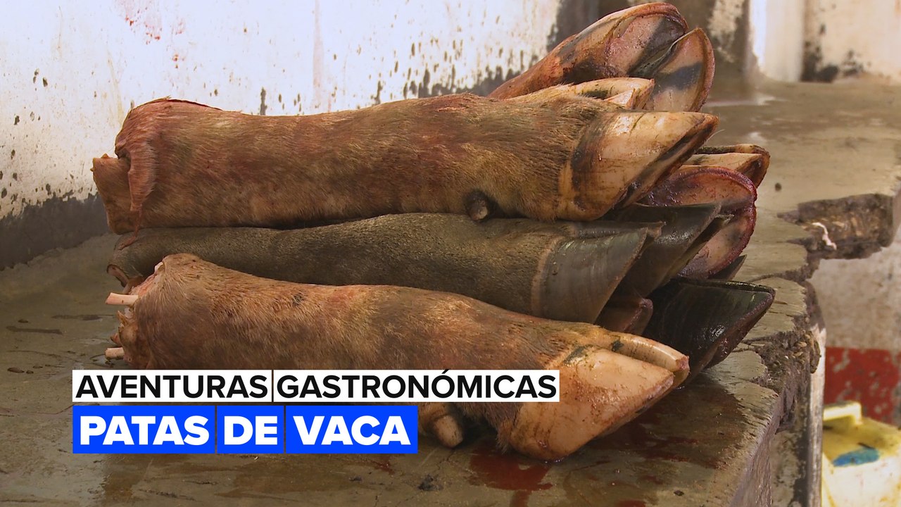 Aventuras gastronómicas: Patas de vaca