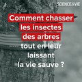 Prix Science&Vie #Innovation 2020 — Pré-sélection environnement : un anneau pour repousser les insectes sans les tuer 