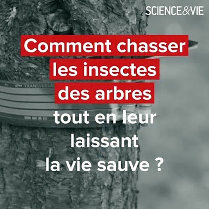 Prix Science&Vie #Innovation 2020 — Pré-sélection environnement : un anneau pour repousser les insectes sans les tuer 