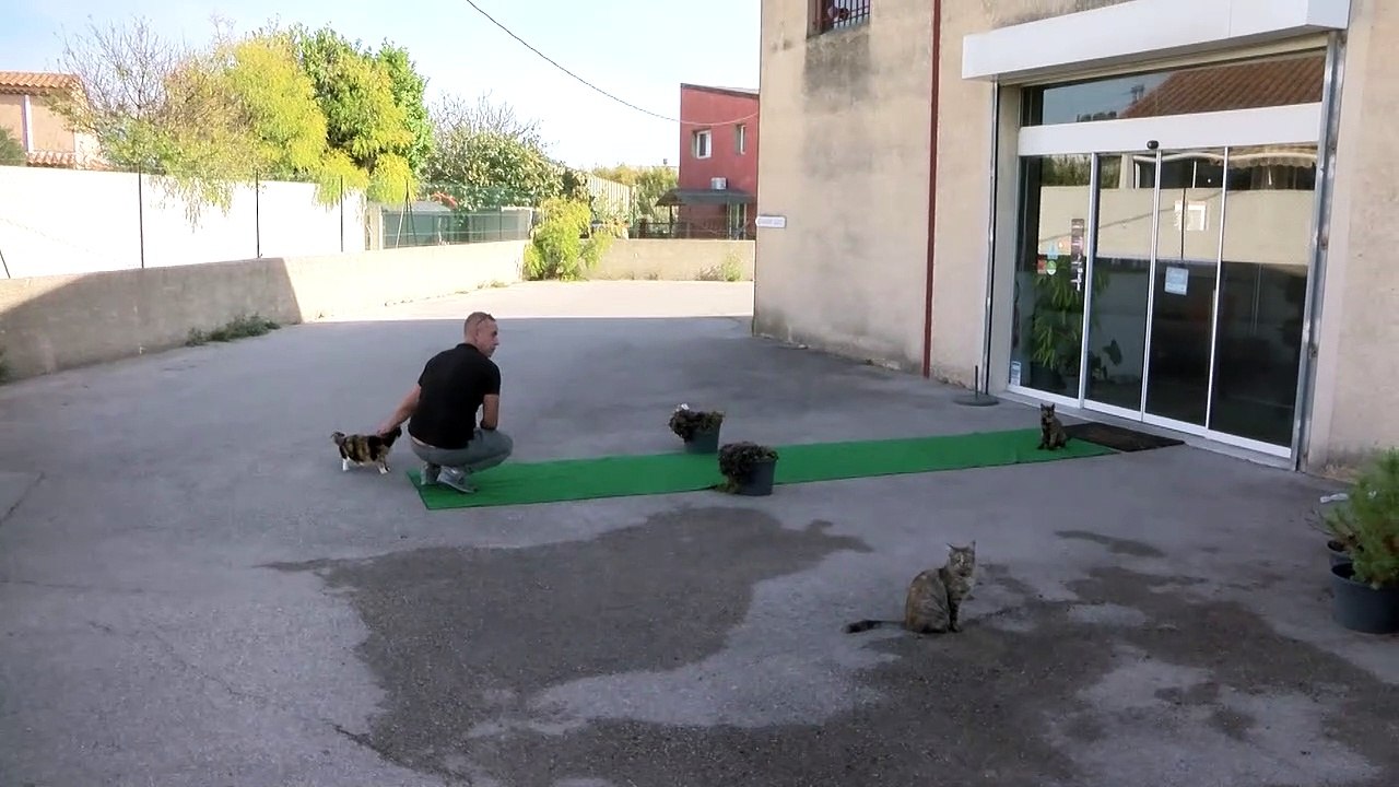 Pour les salles de sport, c'est couvre-feu toute la journée