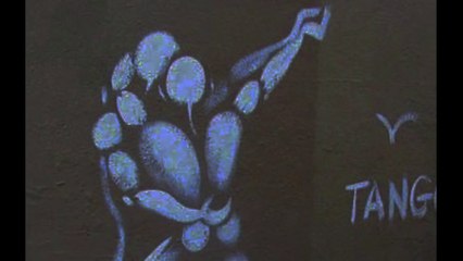 Derriere la palissade  - Cheval Domi