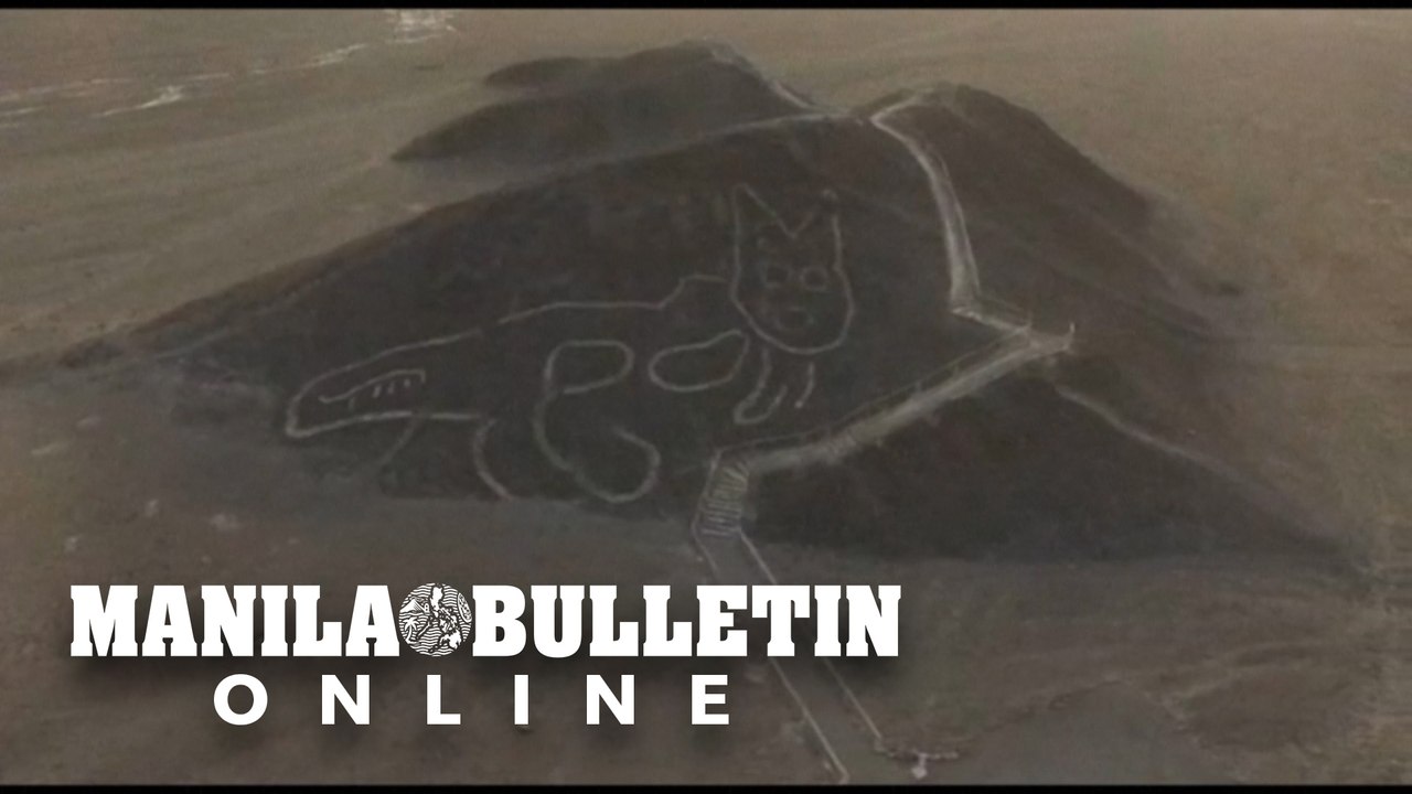 2,000-year-old Cat Silhouette Found In Peruvian Desert