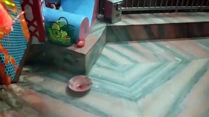 मन्नत पूरी होने पर महिला ने काली माता मंदिर में चढ़ाई अपनी जीभ