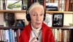 Humans' 'disrespect of nature' is partly to blame for COVID-19: Jane Goodall