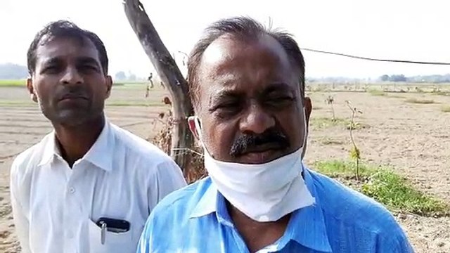 विपक्षी द्वारा पेड़ों में दवा डालकर पेड़ जला देने का लगाया आरोप