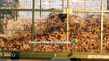 Σοκ στην Χαιρώνεια. Νεκρός 45χρονος χειριστής βαμβακοσυλλεκτικής από ηλεκτροπληξία
