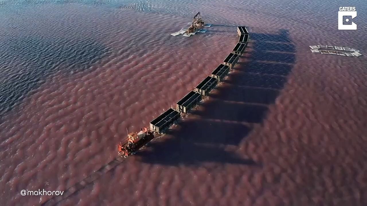 Les images magnifiques d'un train qui avance sur le lac rose en australie