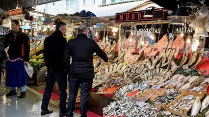 تركيا.. تراجع الملاحة البحرية يسهم في وفرة الأسماك