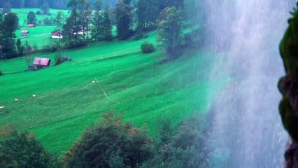 Relaxing music in the sight of the stillness of the picturesque nature