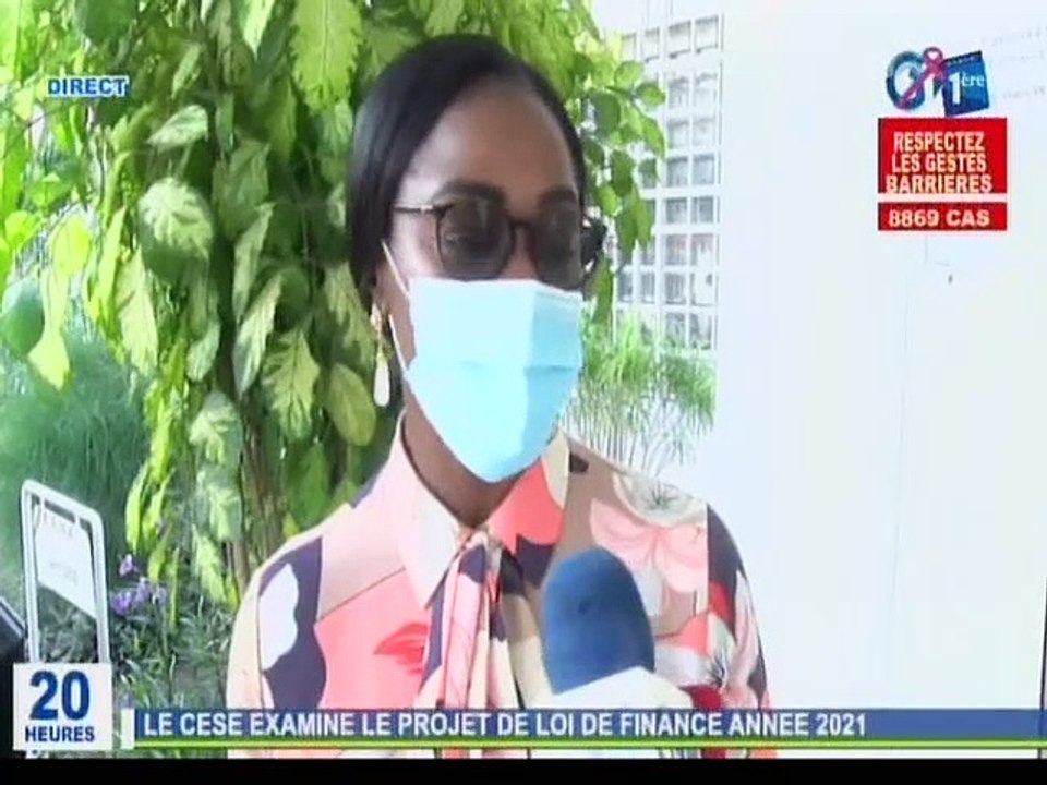 RTG/Réunion du conseil économique , social et environnemental pour examiner le projet de loi de finance de l’année 2021