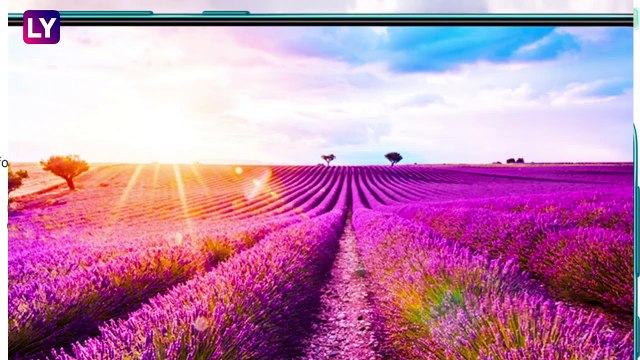 Samsung Galaxy F41 Smartphone Launched In India; Check Prices, Features & Other Details