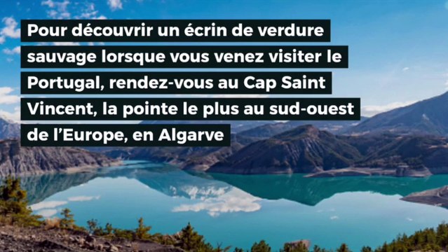 Voyage : quoi visiter au Portugal ?