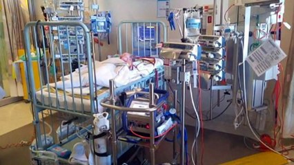 Four babies die after not being transferred interstate