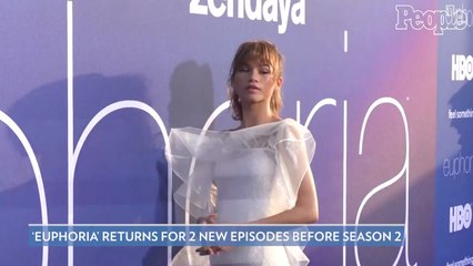 Zendaya Reveals Euphoria Will Return for 2 New Episodes Ahead of Season 2: 'We Really Missed Them'