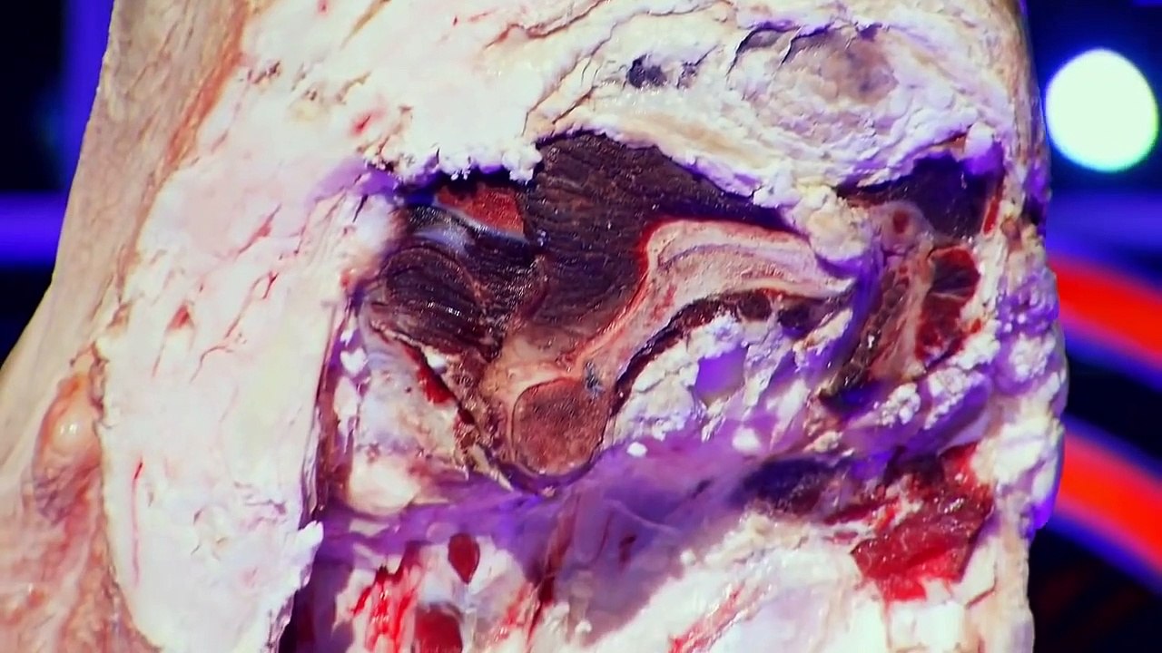 Masterchef (US) Season 9 — Episode 20