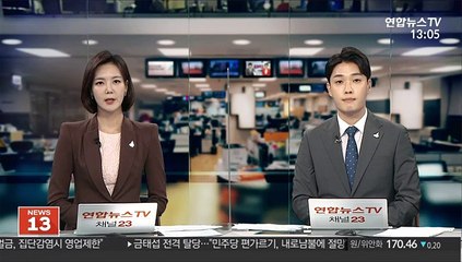 외제차로 사고 유발해 10억 챙긴 일당 검거