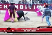 Cuando los toros se defienden: Las más feroces reacciones ante una amenaza
