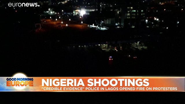'Many dead' after Nigeria security forces shoot on protesters: Amnesty International