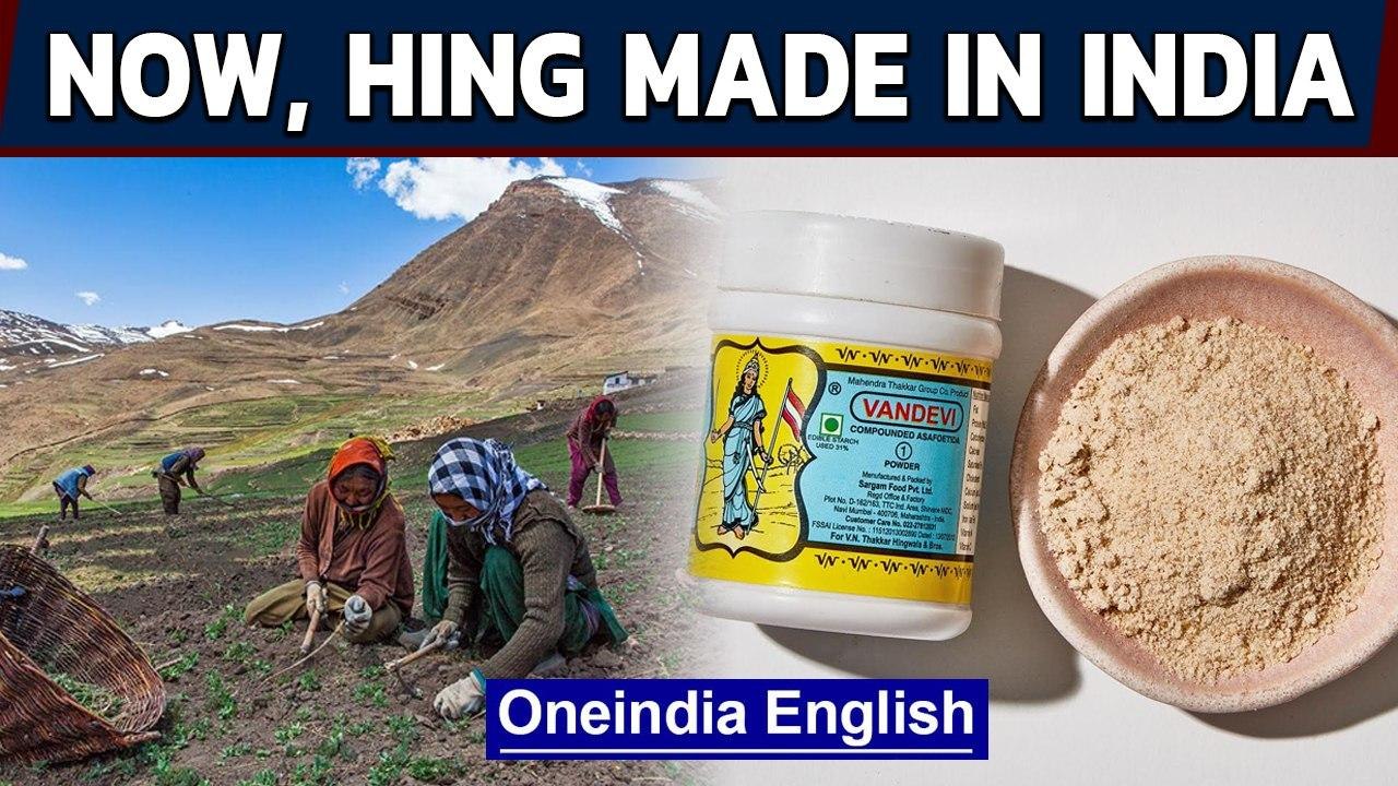 Hing or asafoetida to be grown in India Indian spices Oneindia News video Dailymotion