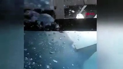 Köpek balığı turistlerin dalış yaptığı kafese saldırdı