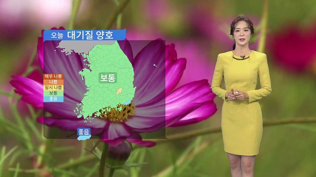 [날씨] 오늘 대기질 양호...내일 스모그 추가 유입 / YTN
