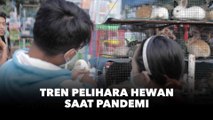 Tren Pelihara Hewan Mewabah saat Pandemi