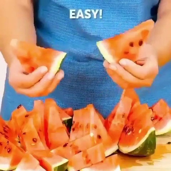 Do it YourSelf Videos 112