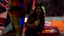 Bigg Boss के घर में emergency लगते ही उड़े घरवालों के होश, Nikki की निकली चीख | FilmiBeat