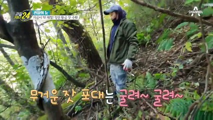 껍데기는 가라~ 산처럼 쌓인 잣 껍데기도 쓰는 곳이 있다?!