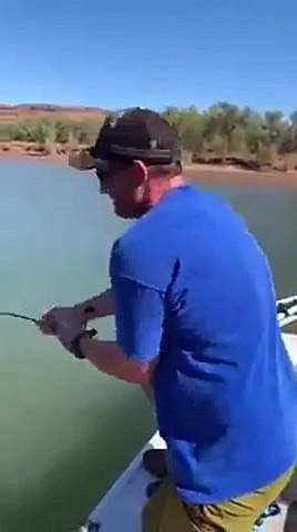 Shock in Australia, un uomo pesca... un coccodrillo
