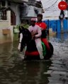 Horses come to the rescue of Hyderabad residents stranded in floods