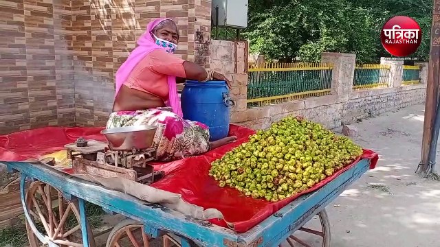 VIDEO : पाली के मीठे सिंघाड़ों का नहीं ले पाएंगे स्वाद, खाली रह गया लोर्डिया तालाब