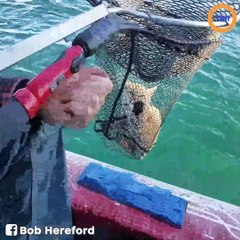 Il pense pêcher un poisson... ce qu'il remonte dans son filet va vous choquer !